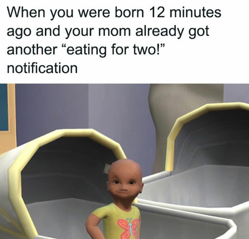 When you were born 12 minutes ago and your mom already got another "eating for two!" notification