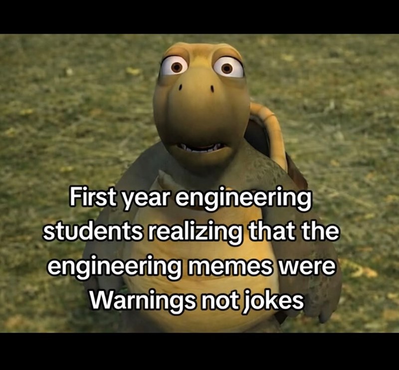 First year engineering students realizing that the engineering memes were Warnings not jokes