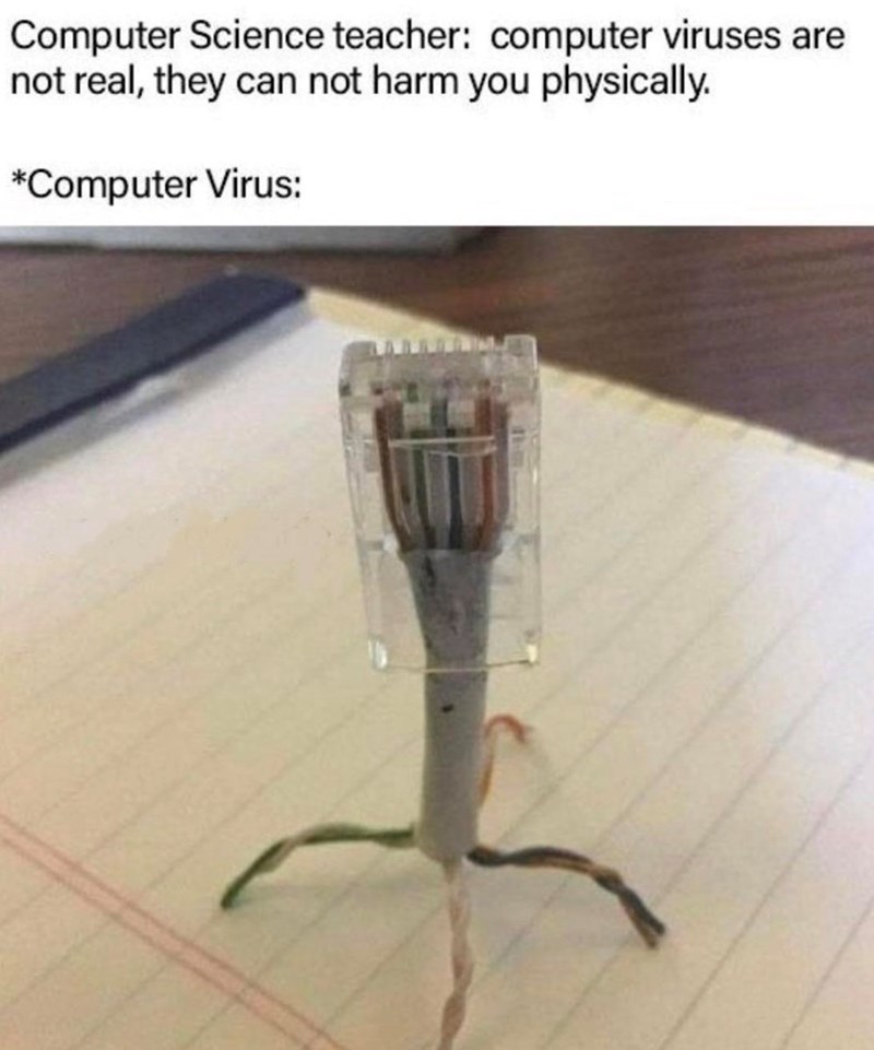 Computer Science teacher: computer viruses are not real, they can not harm you physically. *Computer Virus: