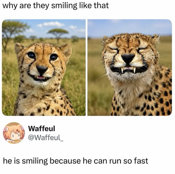 why are they smiling like that Waffeul @Waffeul_ he is smiling because he can run so fast