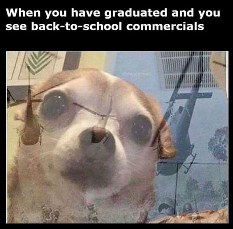 When you have graduated and you see back-to-school commercials doggonews