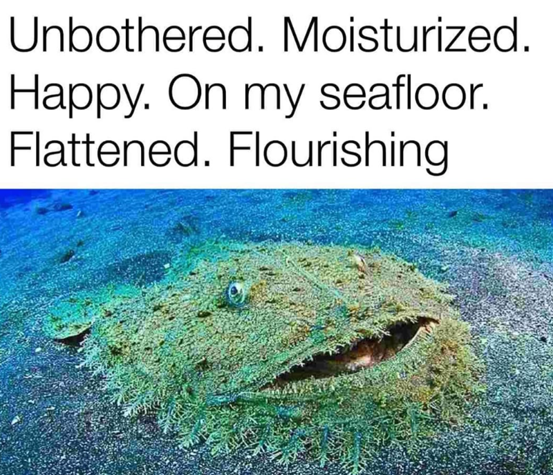 Unbothered. Moisturized. Happy. On my seafloor. Flattened. Flourishing
