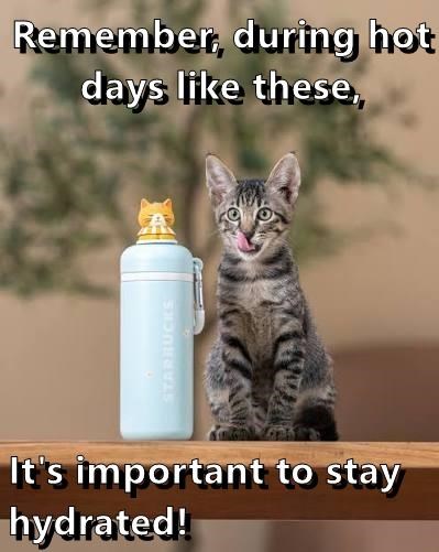 Remember, during hot days like these, STARBUCKS It's important to stay hydrated!