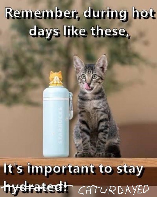 Remember, during hot days like these, STARBUCKS It's important to stay hydrated! CATURDAYED