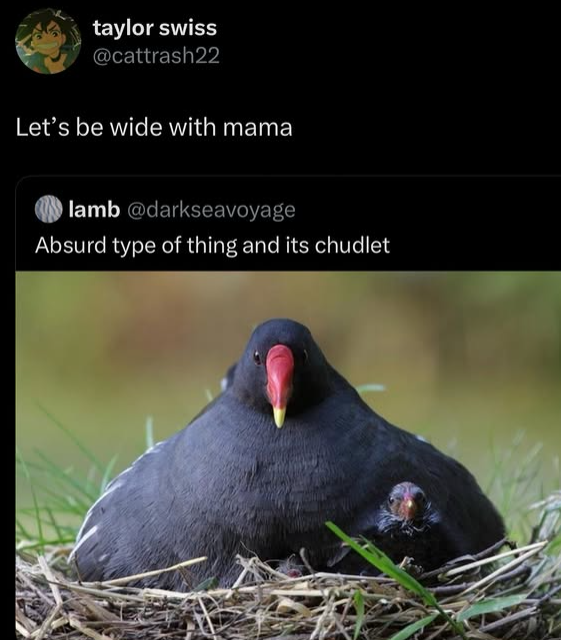 taylor swiss @cattrash22 Let's be wide with mama lamb @darkseavoyage Absurd type of thing and its chudlet