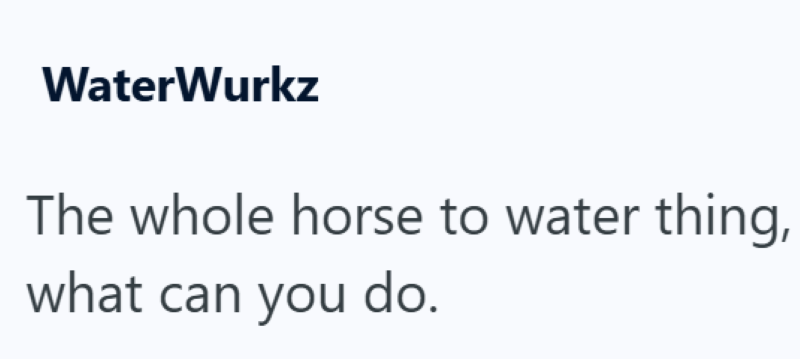 WaterWurkz The whole horse to water thing, what can you do.