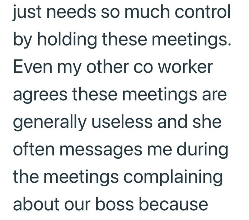 just needs so much control by holding these meetings. Even my other co worker agrees these meetings are generally useless and she often messages me during the meetings complaining about our boss because