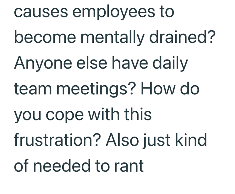 causes employees to become mentally drained? Anyone else have daily team meetings? How do you cope with this frustration? Also just kind of needed to rant
