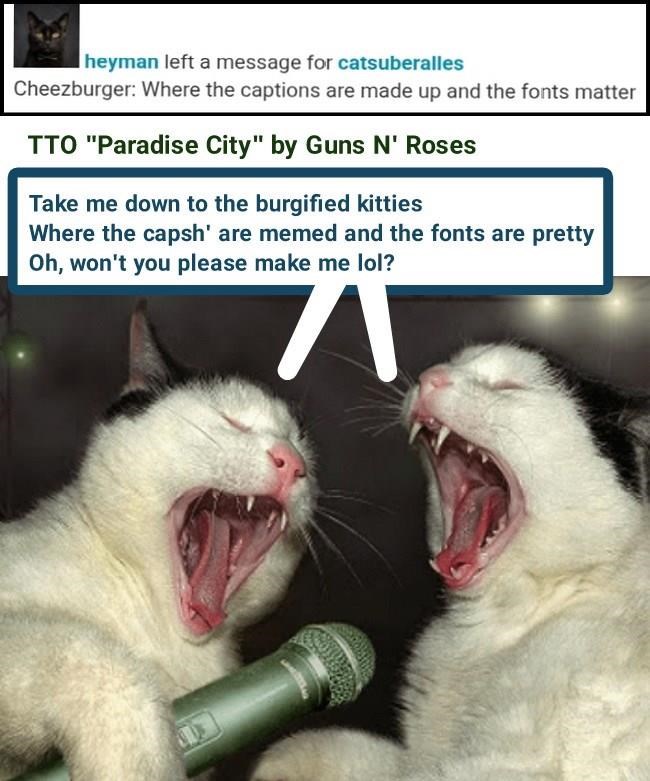 heyman left a message for catsuberalles Cheezburger: Where the captions are made up and the fonts matter TTO "Paradise City" by Guns N' Roses Take me down to the burgified kitties Where the capsh' are memed and the fonts are pretty Oh, won't you please make me lol? A