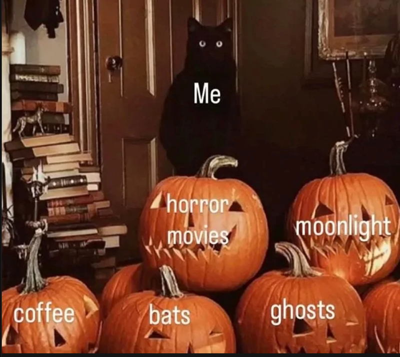 Me horror movies moonlight coffee bats ghosts