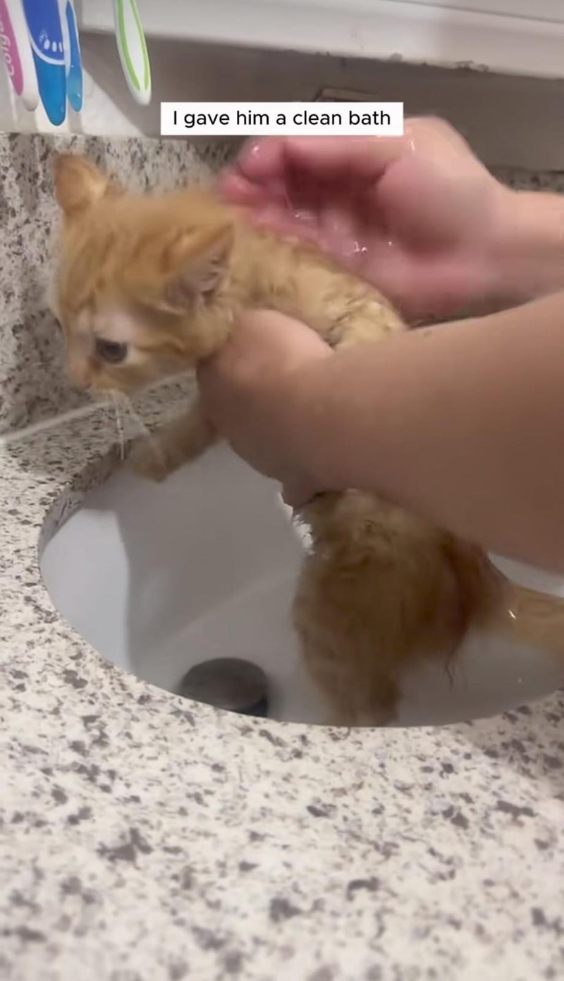 I gave him a clean bath