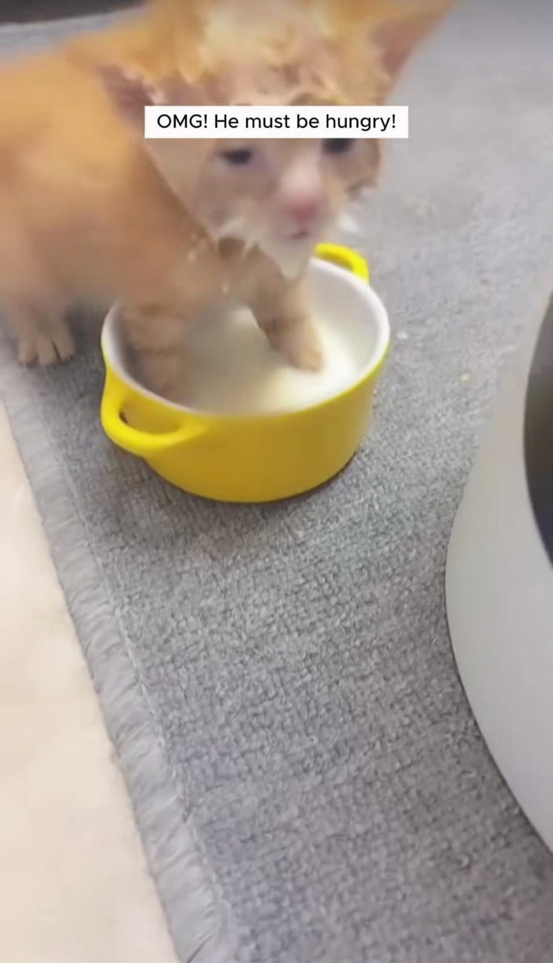 OMG! He must be hungry!