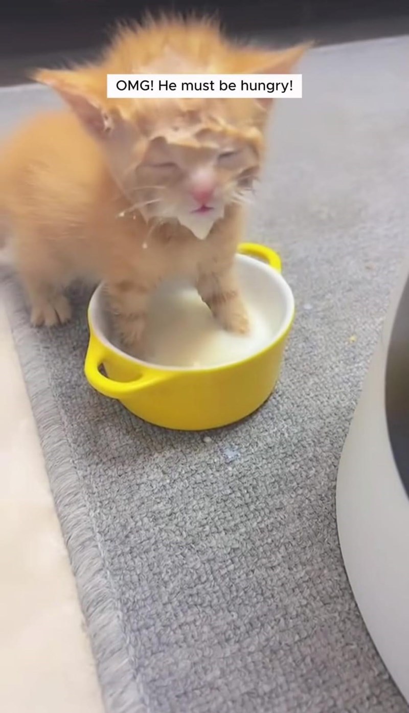 OMG! He must be hungry!