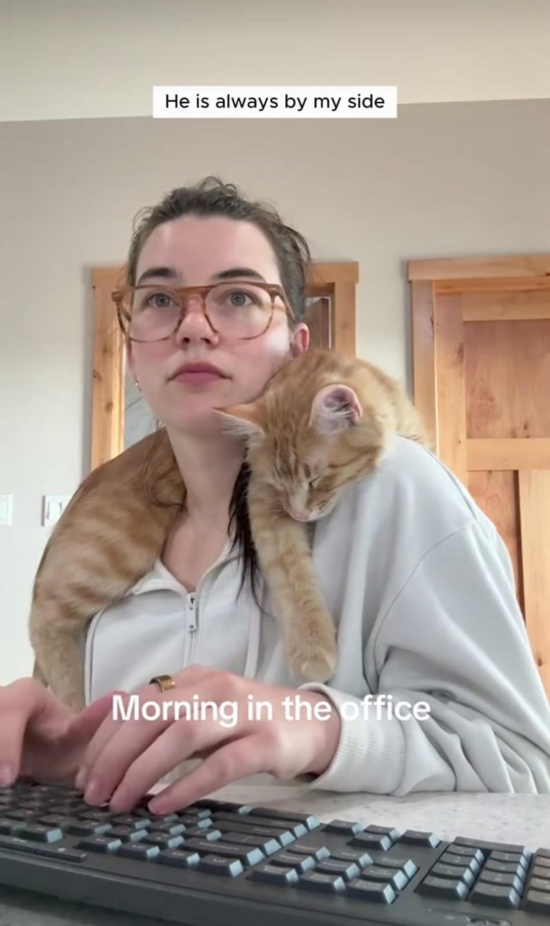 He is always by my side Morning in the office