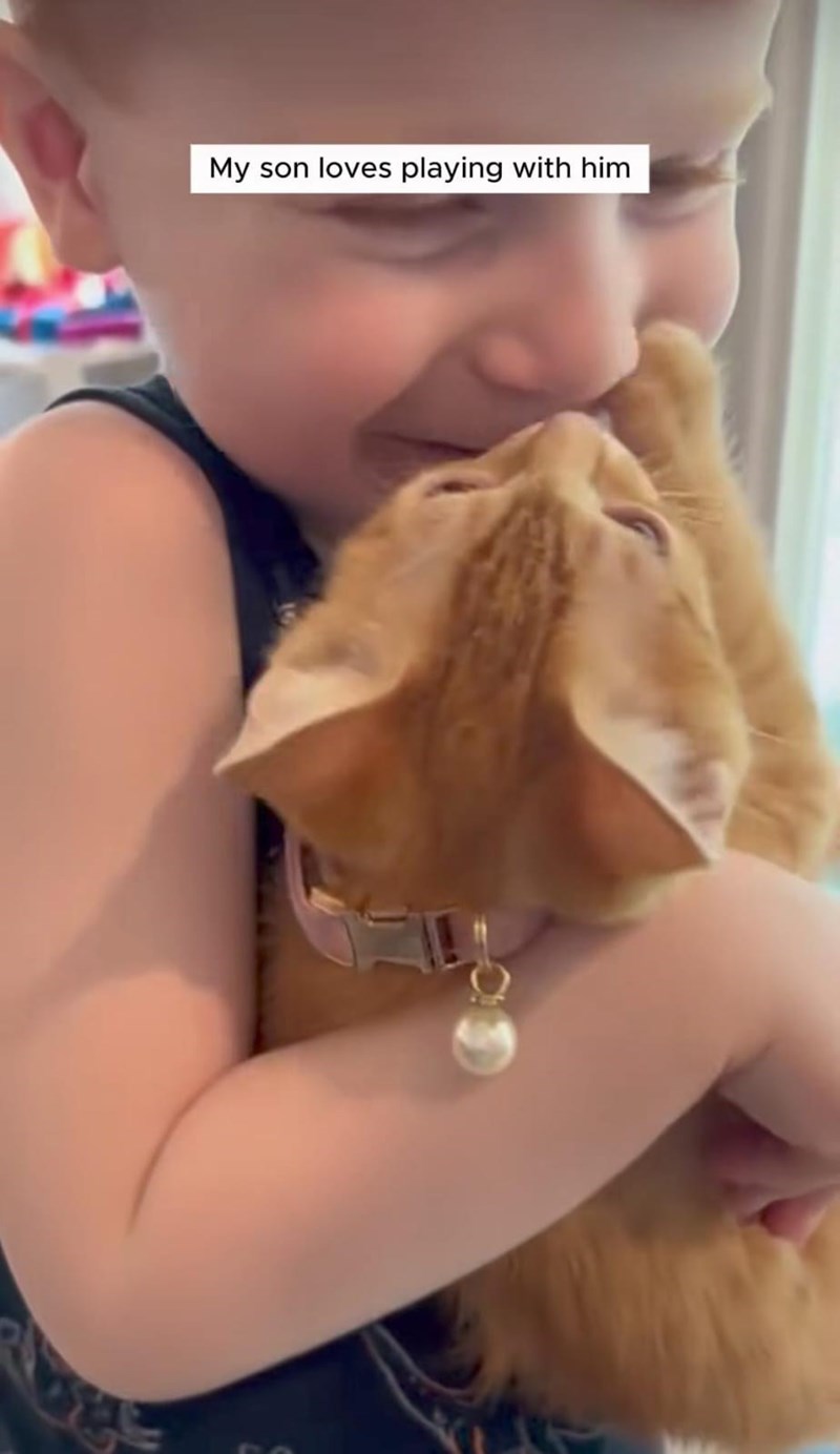 My son loves playing with him