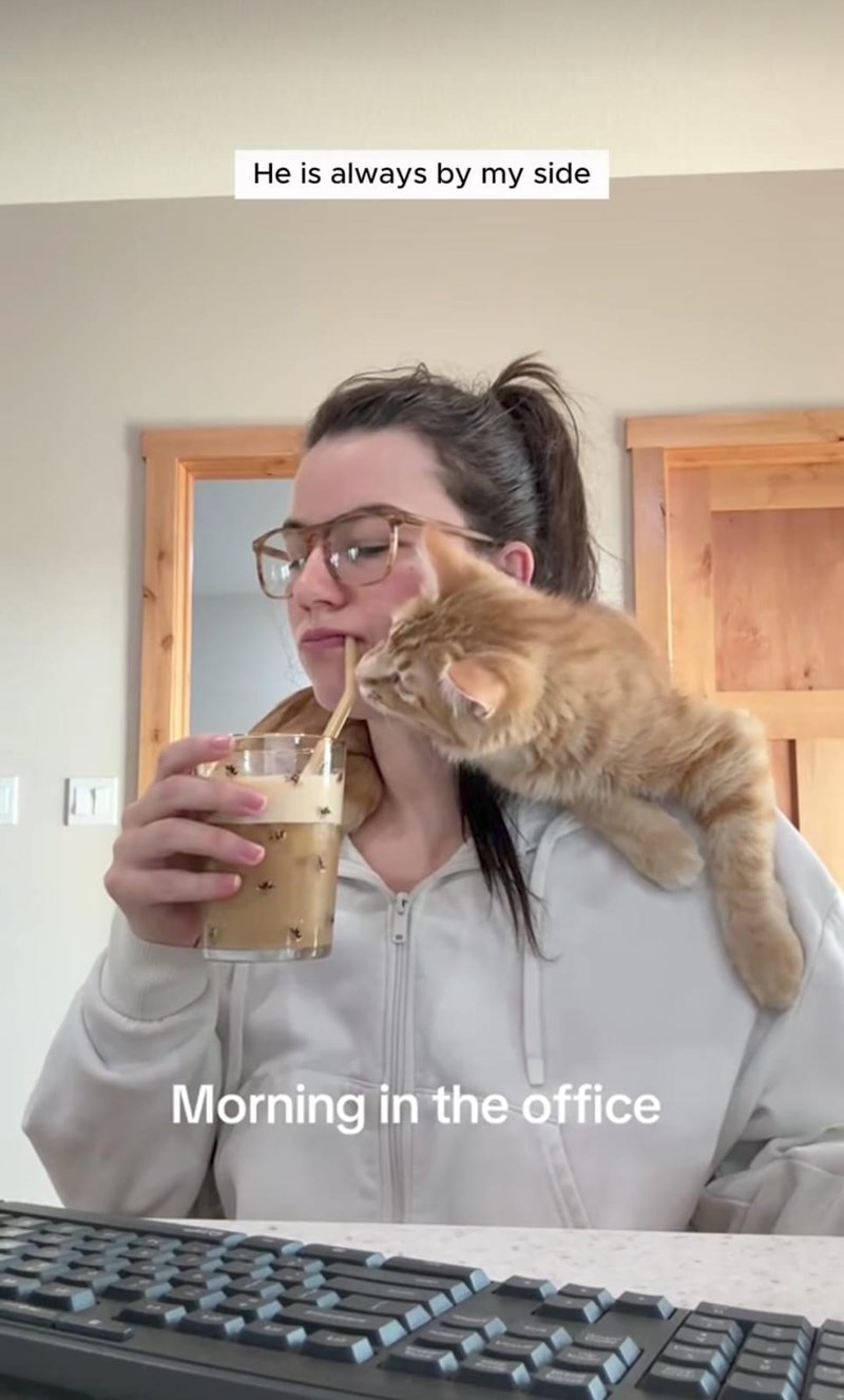He is always by my side Morning in the office