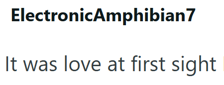 ElectronicAmphibian7 It was love at first sight