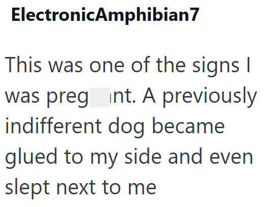 ElectronicAmphibian7 This was one of the signs I was pregnt. A previously indifferent dog became glued to my side and even slept next to me