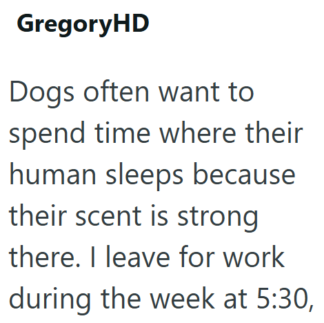 GregoryHD Dogs often want to spend time where their human sleeps because their scent is strong there. I leave for work during the week at 5:30,