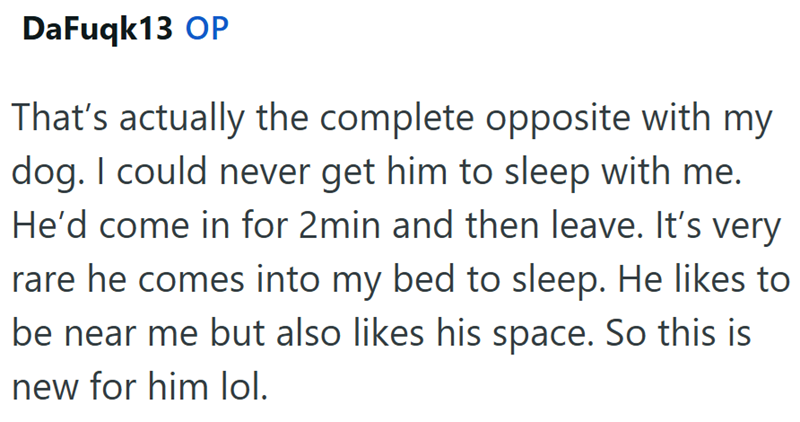 DaFuqk13 OP That's actually the complete opposite with my dog. I could never get him to sleep with me. He'd come in for 2min and then leave. It's very rare he comes into my bed to sleep. He likes to be near me but also likes his space. So this is new for him lol.
