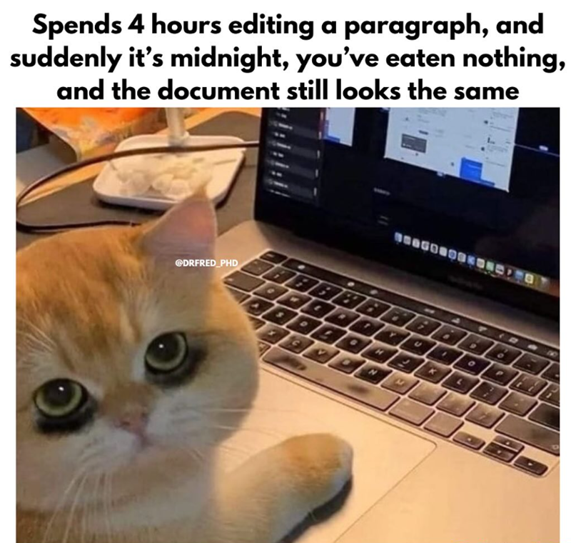 Spends 4 hours editing a paragraph, and suddenly it's midnight, you've eaten nothing, and the document still looks the same @DRFRED_PHD P