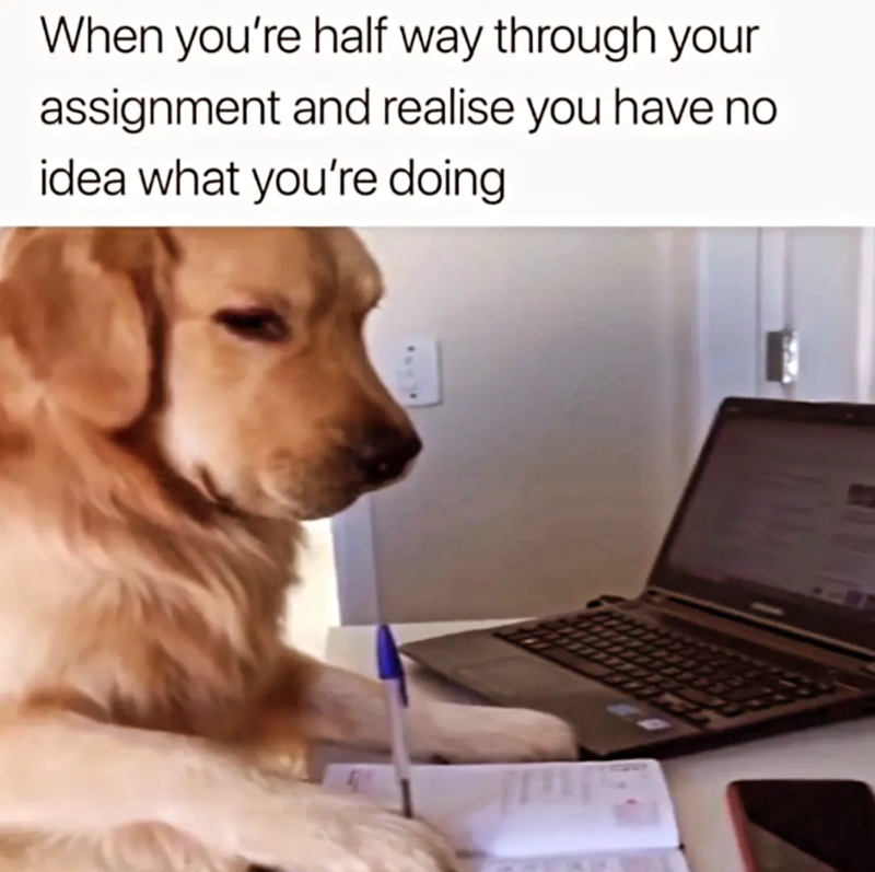 When you're half way through your assignment and realise you have no idea what you're doing