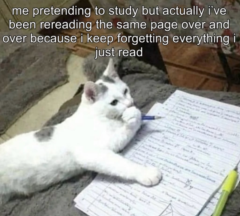 me pretending to study but actually i've been rereading the same page over and over because i keep forgetting everything i just read Love