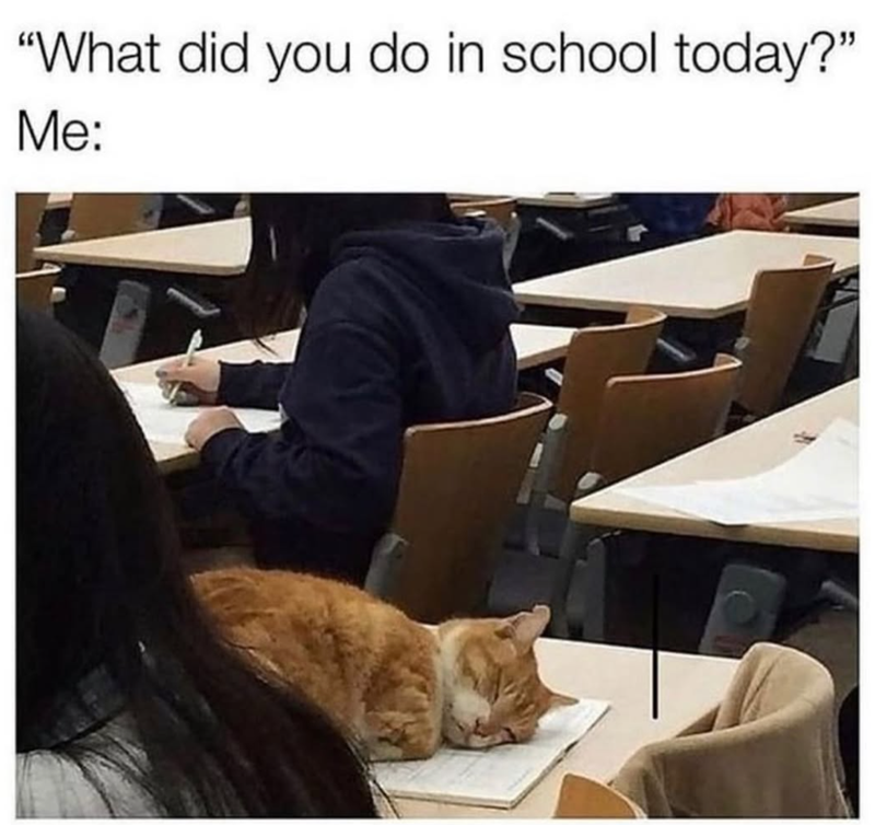 "What did you do in school today?" Me: