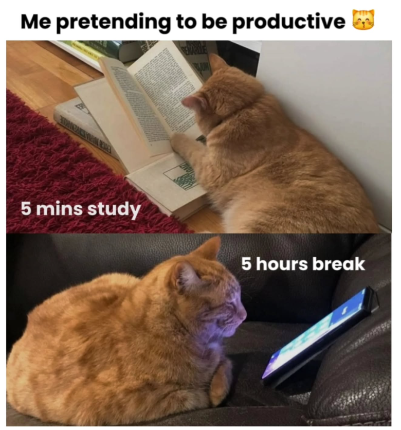 Me pretending to be productive REMARLE 5 mins study 5 hours break