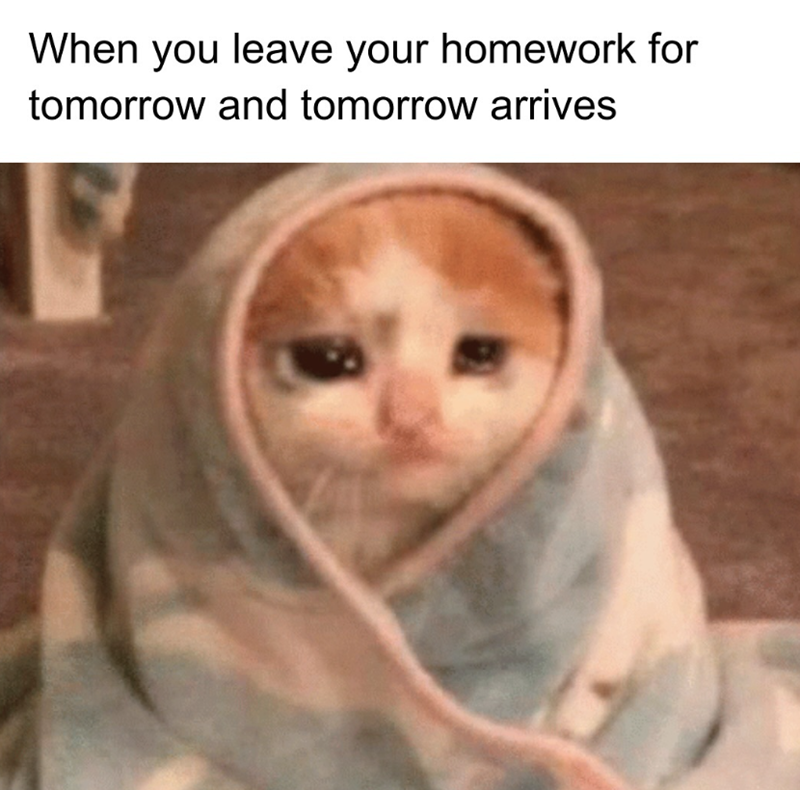 When you leave your homework for tomorrow and tomorrow arrives