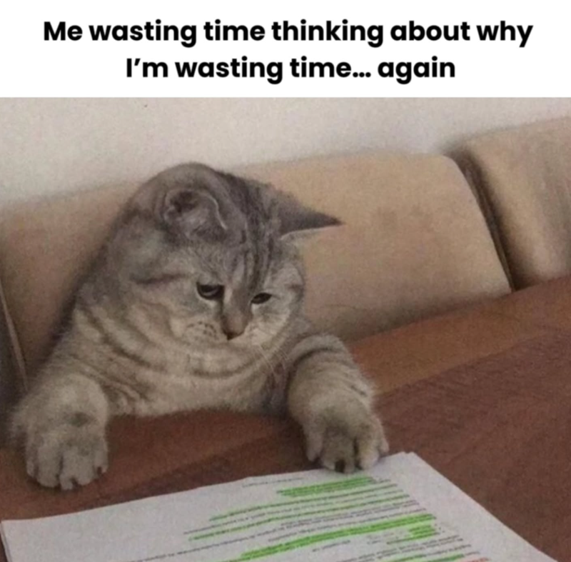 Me wasting time thinking about why I'm wasting time... again