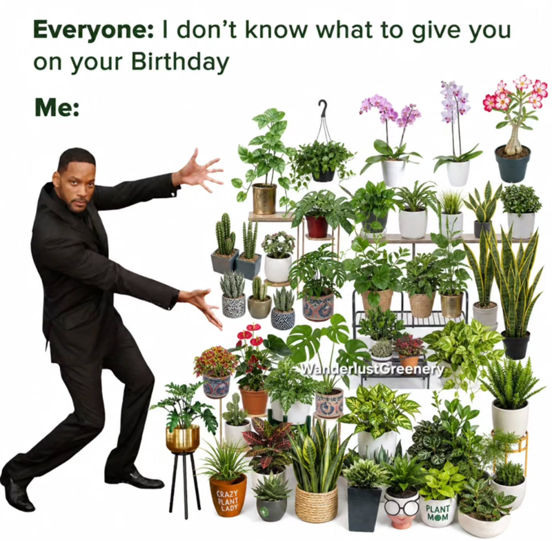 Everyone: I don't know what to give you on your Birthday Me: 2 CRAZY PLANT Wanderlust Greenery LADY PLANT MOM