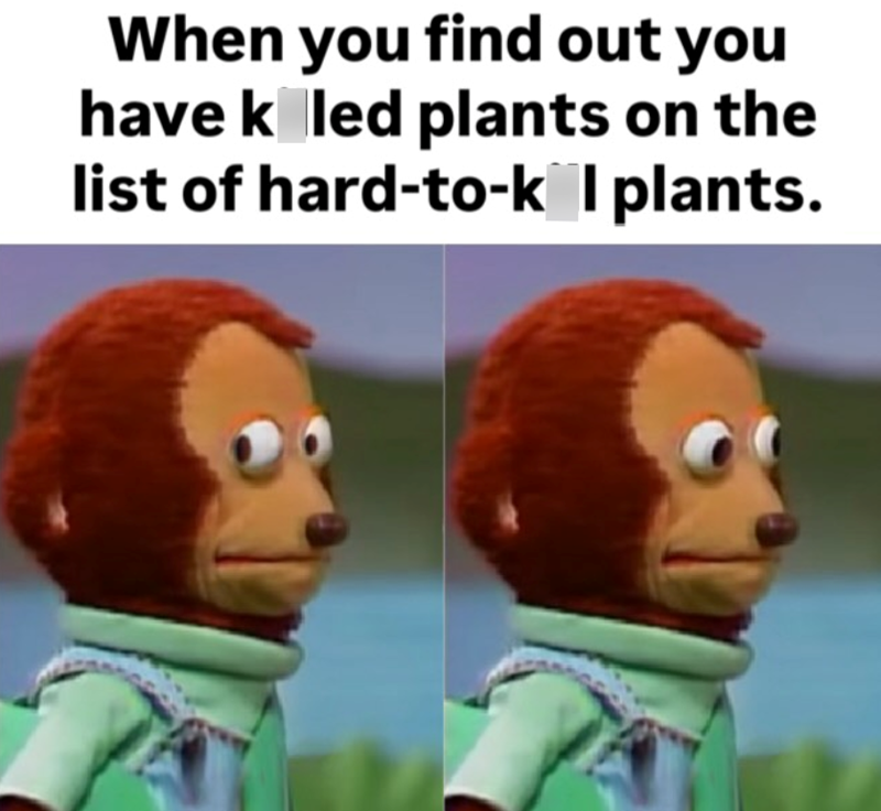 When you find out you have koled plants on the list of hard-to-k I plants.