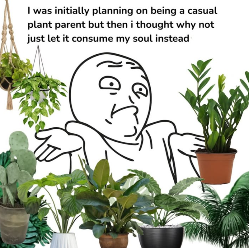 I was initially planning on being a casual plant parent but then i thought why not just let it consume my soul instead