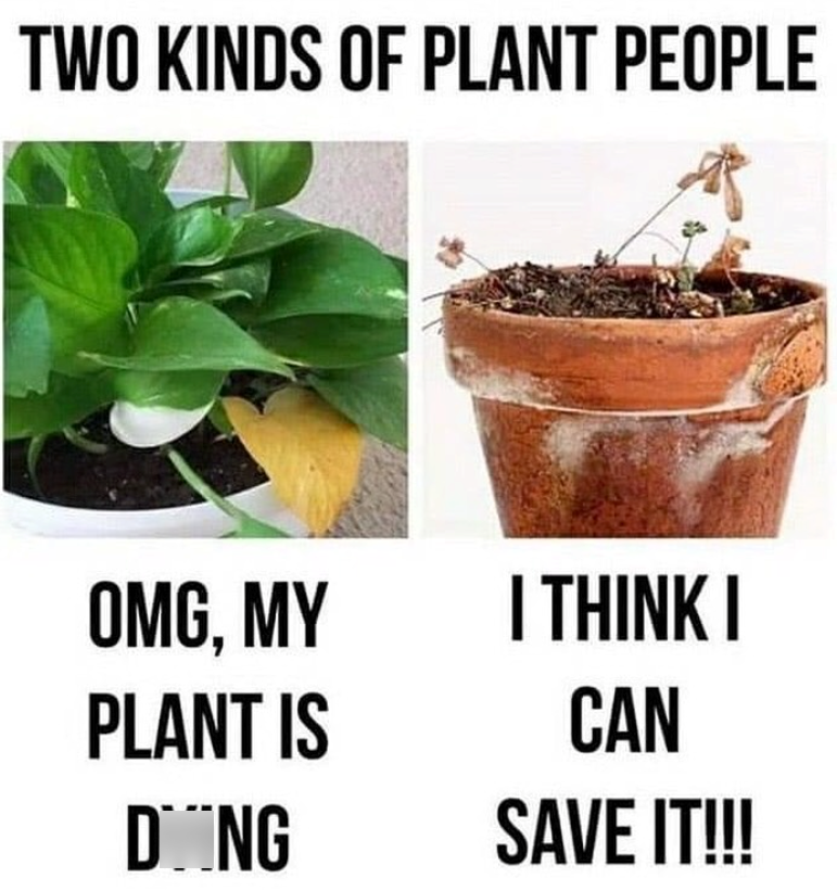TWO KINDS OF PLANT PEOPLE OMG, MY I THINK I PLANT IS DOING CAN SAVE IT!!!