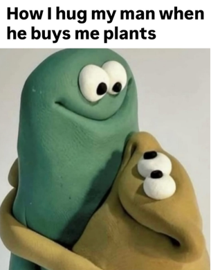How I hug my man when he buys me plants