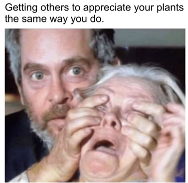 Getting others to appreciate your plants the same way you do.