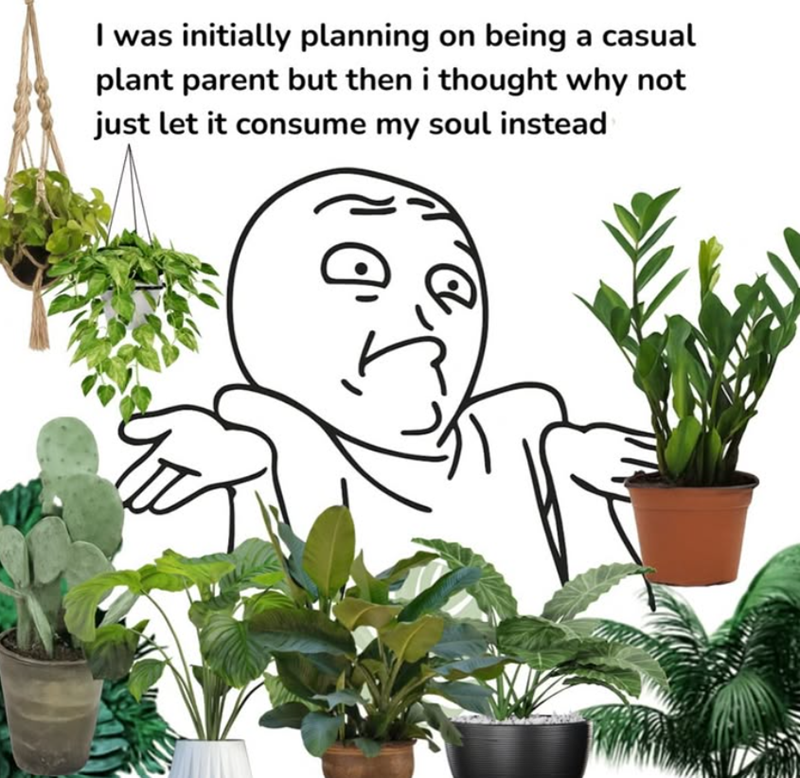 I was initially planning on being a casual plant parent but then i thought why not just let it consume my soul instead D