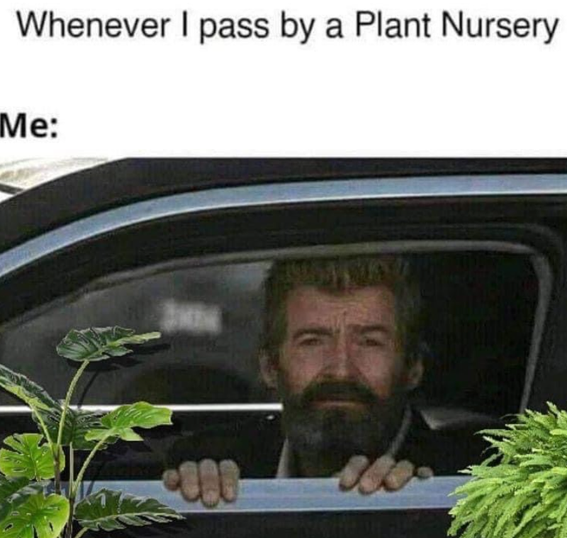 Whenever I pass by a Plant Nursery Me: