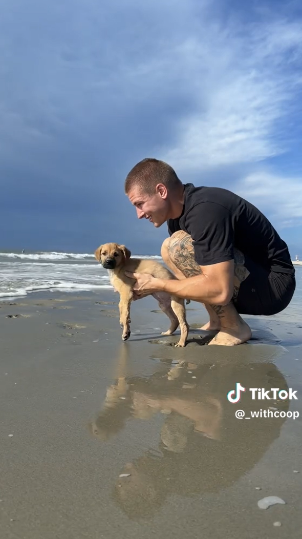 TikTok @_withcoop