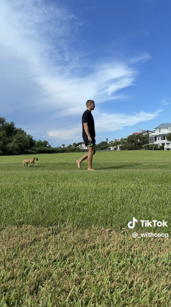 TikTok @withcoop