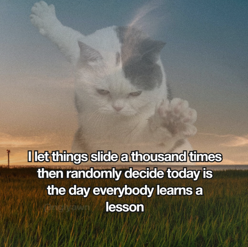 I let things slide a thousand times then randomly decide today is the day everybody learns a lesson