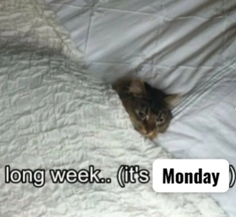 long week.. (it's Monday
