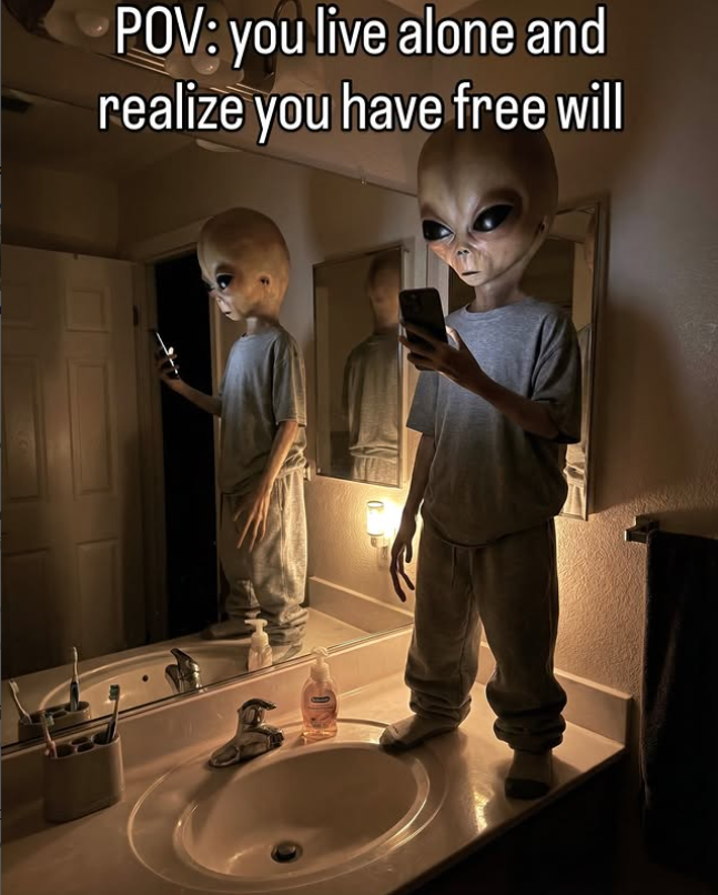POV: you live alone and realize you have free will