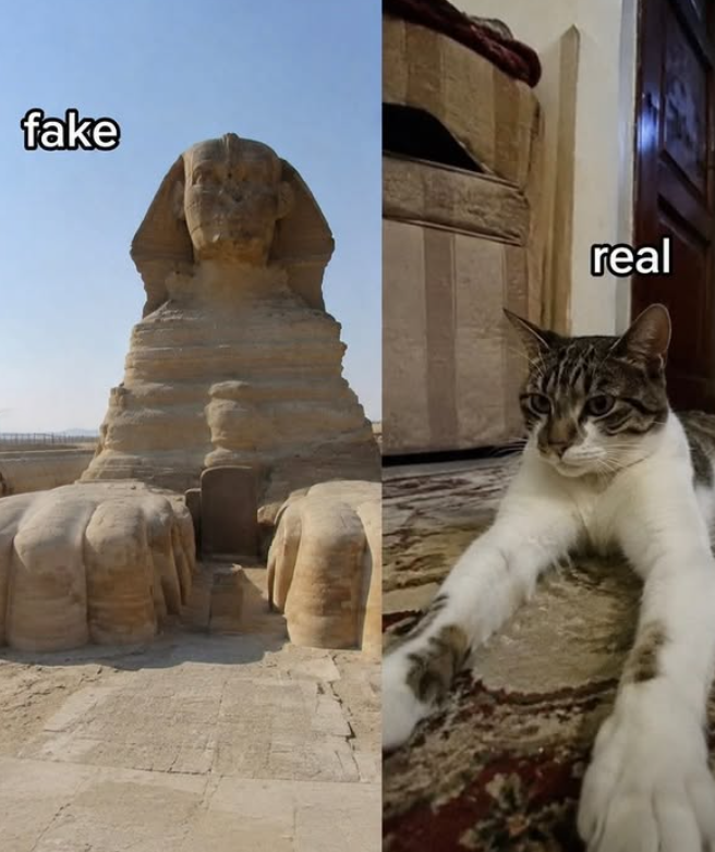 fake real