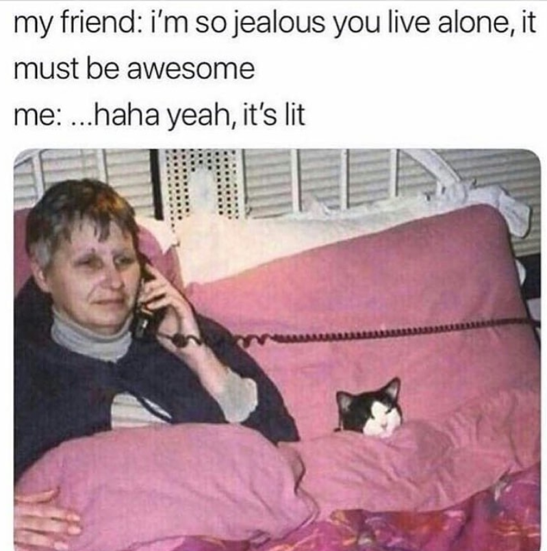 my friend: i'm so jealous you live alone, it must be awesome me: ...haha yeah, it's lit