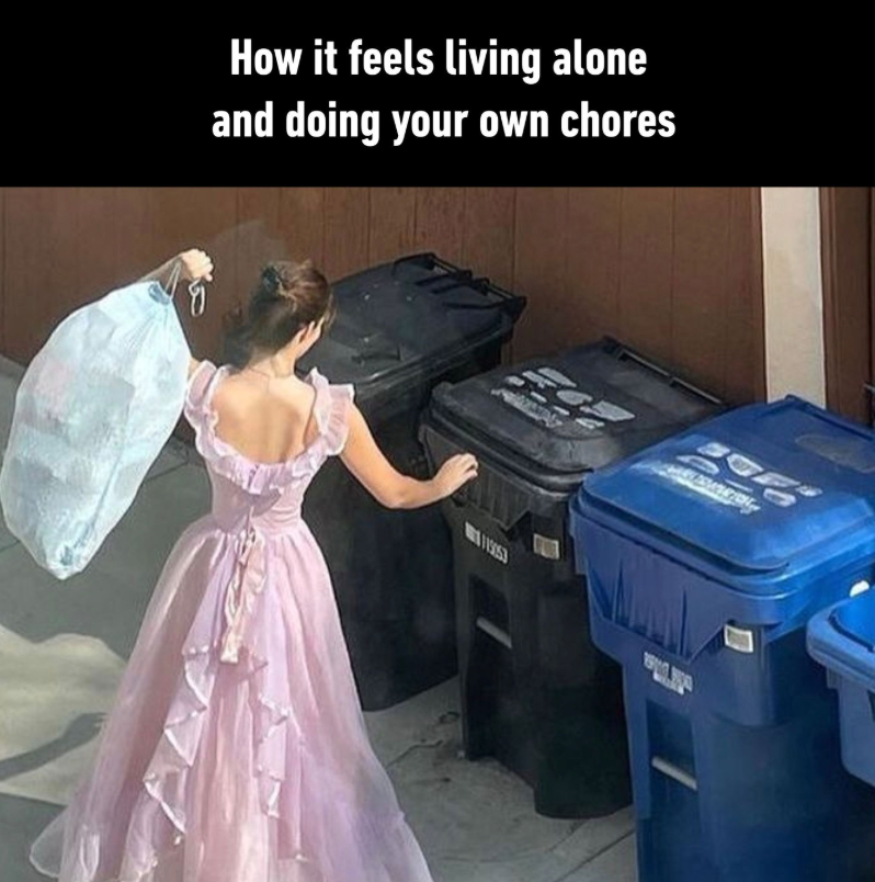 How it feels living alone and doing your own chores