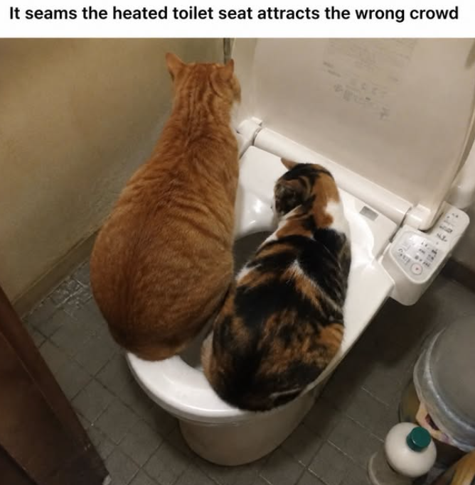 It seams the heated toilet seat attracts the wrong crowd 20