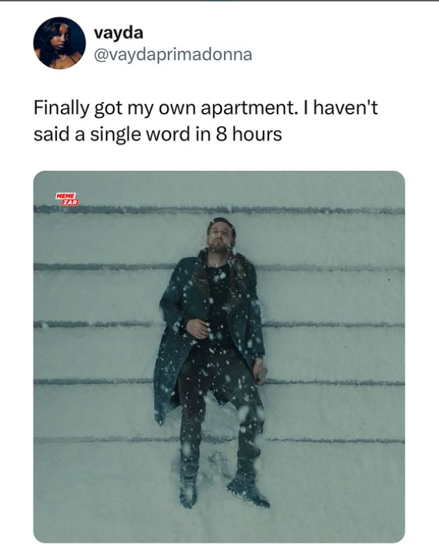 vayda @vaydaprimadonna Finally got my own apartment. I haven't said a single word in 8 hours MEME ZAR