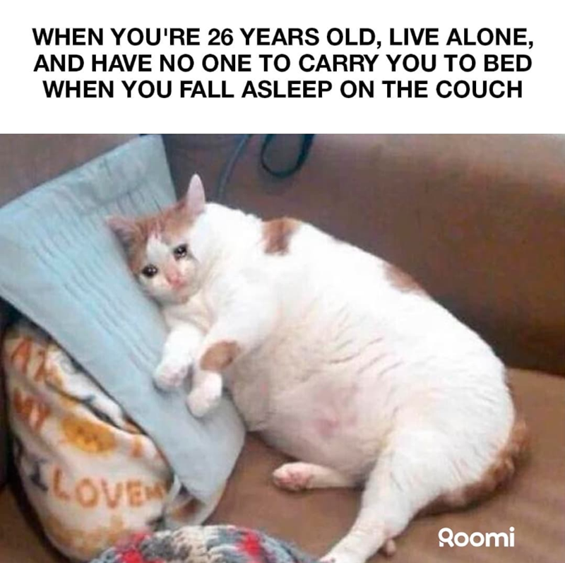 WHEN YOU'RE 26 YEARS OLD, LIVE ALONE, AND HAVE NO ONE TO CARRY YOU TO BED WHEN YOU FALL ASLEEP ON THE COUCH LOVE Roomi
